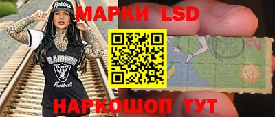 прущие крисы Будённовск