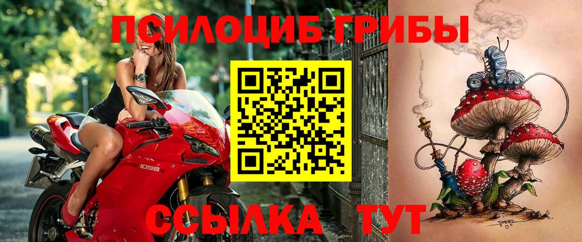 Псилоцибиновые грибы Psilocybe  Галлюциногенные грибы прущие грибы  купить наркотики сайты  Вход с VPN  Сегежа 